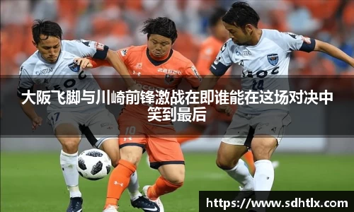 DG视讯